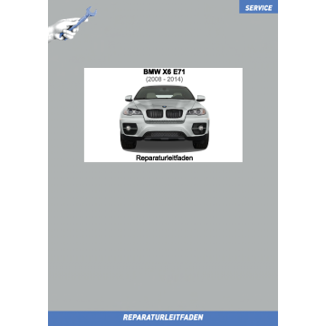 BMW X6 E71 (07-14) 4.4 L Motor N63 - Werkstatthandbuch Motor/Motorelektrik 