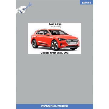 Audi e-tron (2018-2022) Reparaturleitfaden Getriebe hinten 0MB / 0MC
